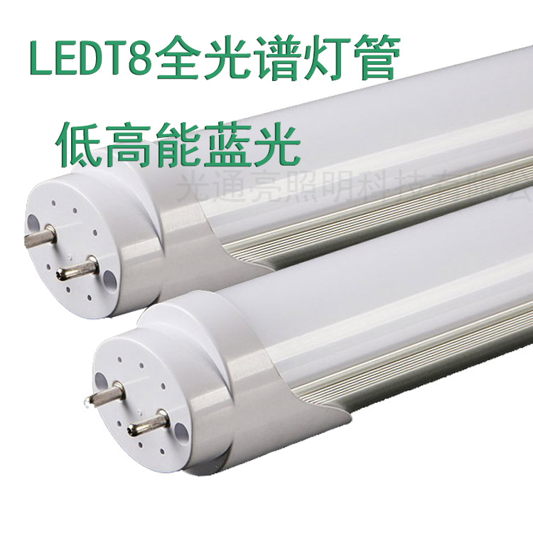 T8 Led燈管